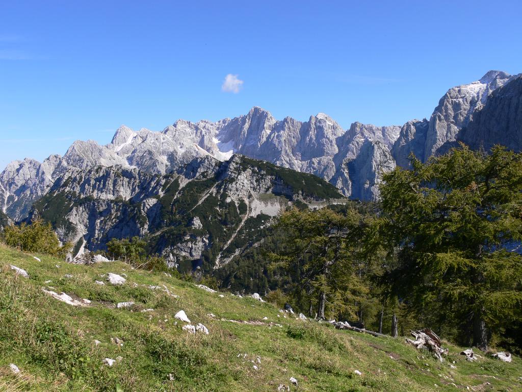 Pod Ponco Apartments Kranjska Gora Dış mekan fotoğraf
