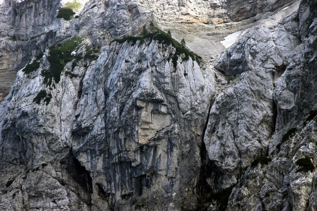 Pod Ponco Apartments Kranjska Gora Dış mekan fotoğraf