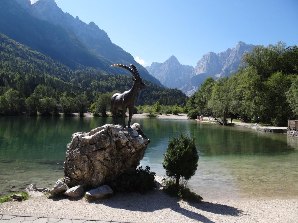 Pod Ponco Apartments Kranjska Gora Dış mekan fotoğraf