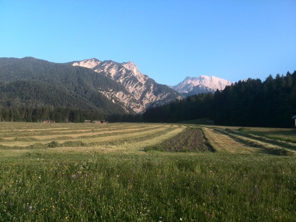 Pod Ponco Apartments Kranjska Gora Dış mekan fotoğraf