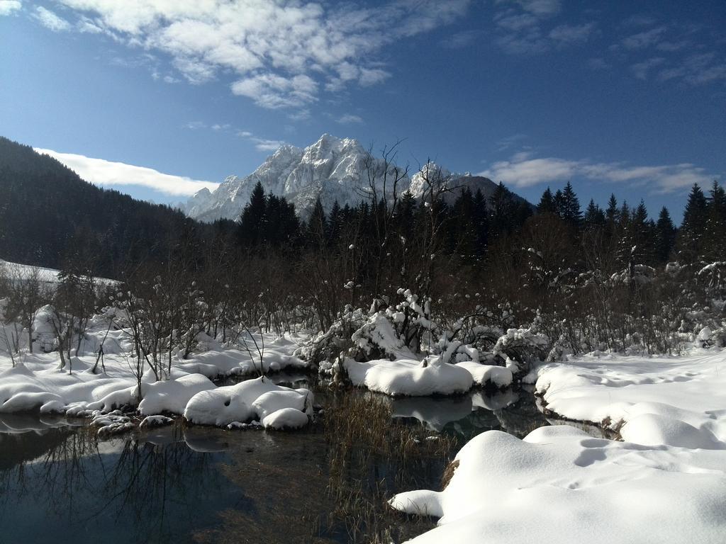 Pod Ponco Apartments Kranjska Gora Dış mekan fotoğraf
