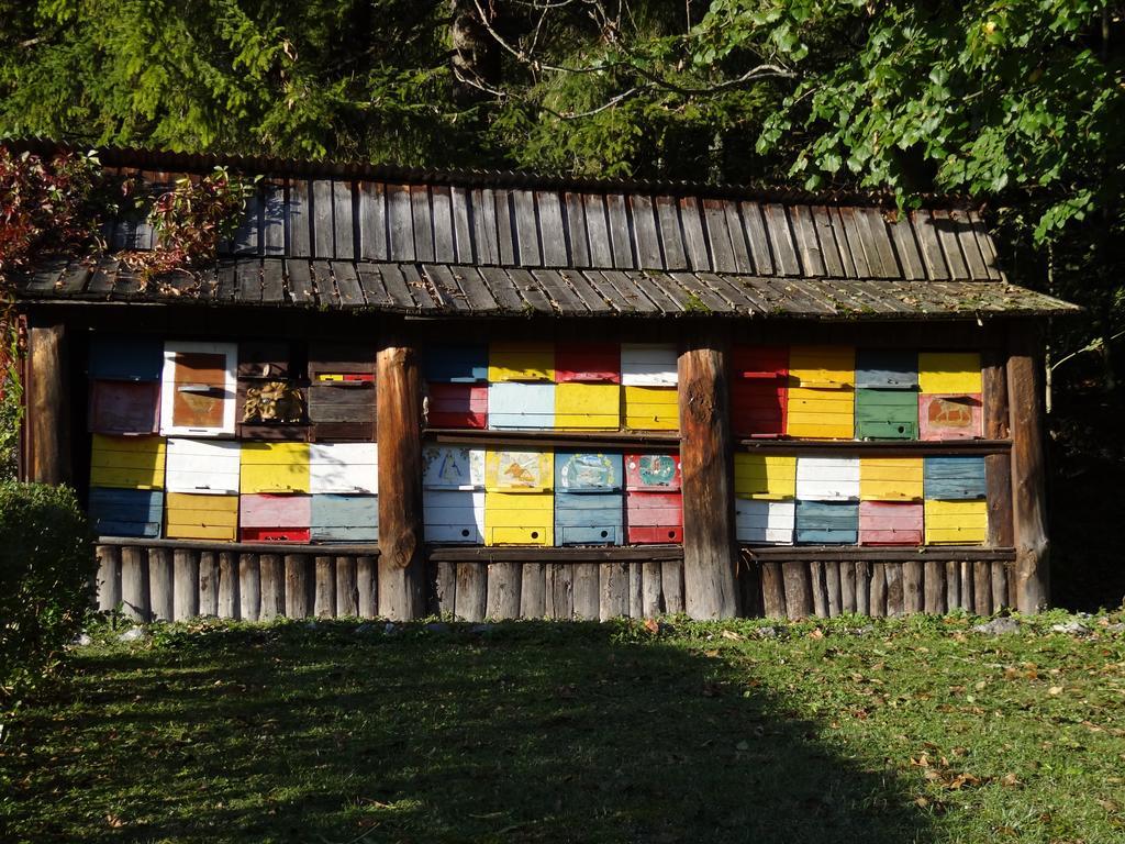 Pod Ponco Apartments Kranjska Gora Dış mekan fotoğraf